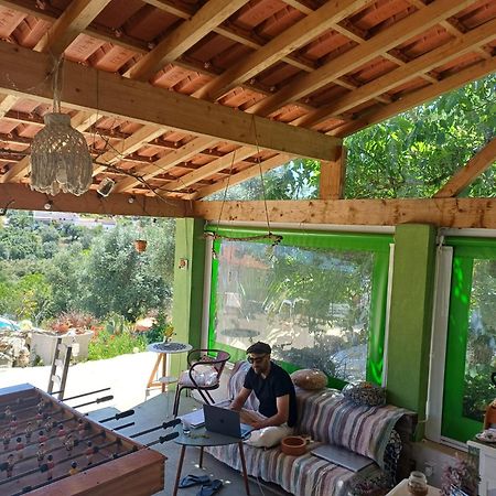 Lameira Da Longra - Bohemian Artistic House & Coliving Tomar Exterior photo